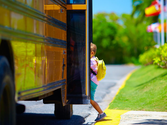 Field trip bus rentals