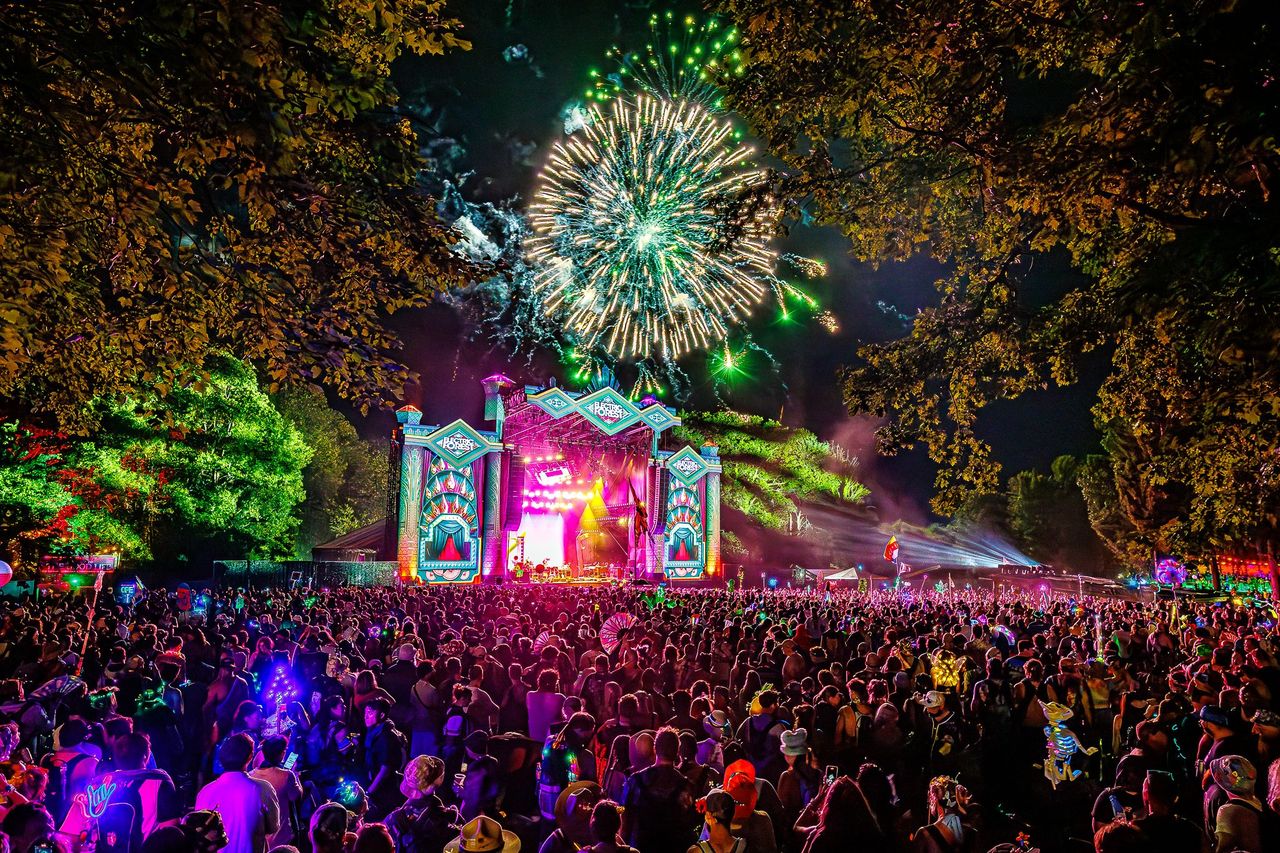 Flexible and reliable Electric Forest shuttle rentals