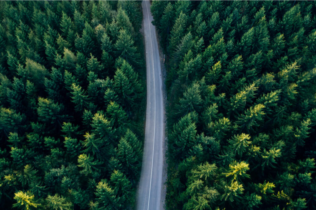 Responsible Road Tripping During COVID 19