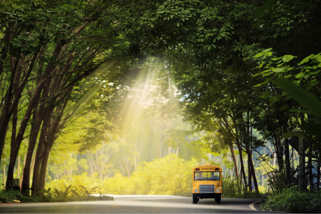School Bus Rental Pricing Guide