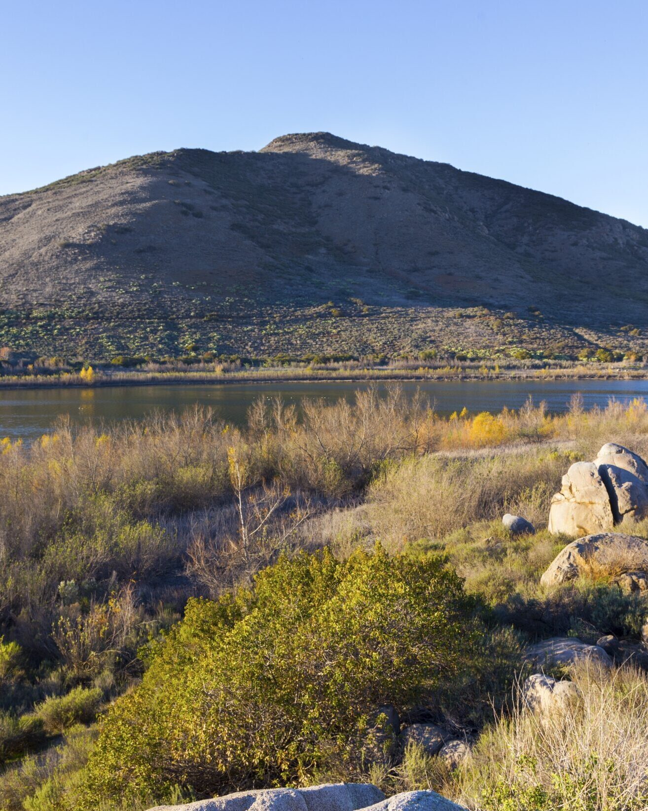 Charter Bus rentals in Escondido